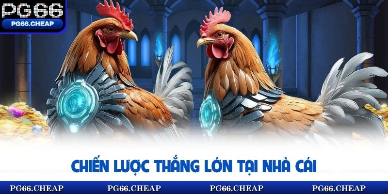 Chiến lược thắng lớn tại nhà cái