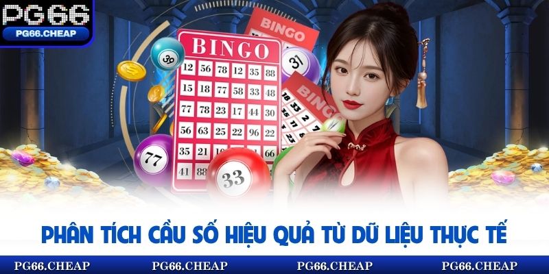 Phân tích cầu số hiệu quả từ dữ liệu thực tế